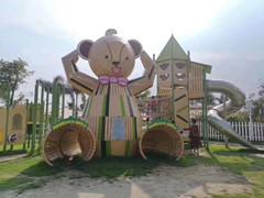 非標(biāo)制度獅子樂(lè)園