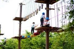 叢林穿越高空拓展