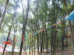 扭轉(zhuǎn)乾坤